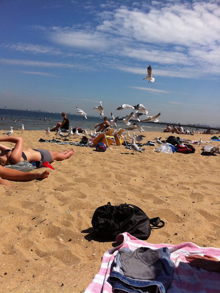 Gulls at St Kilda Beach in Melbourne. Death threats in Melbourne