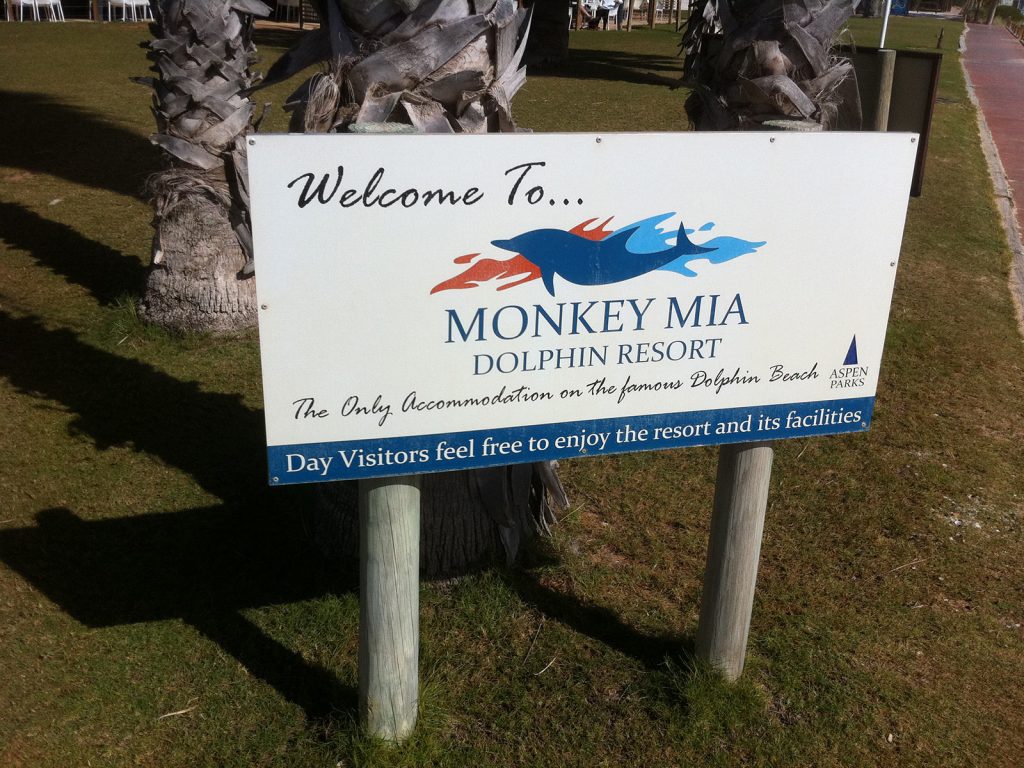 Monkey Mia sign in West Coast, Australia. Hitting a cow on the west coast road trip