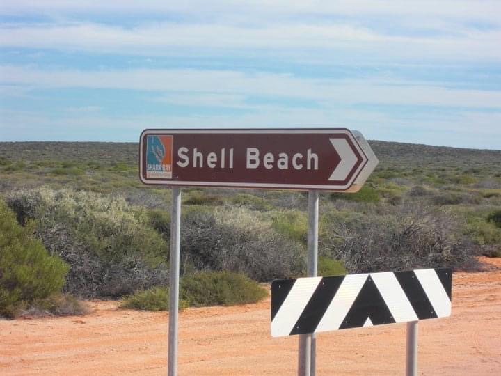 Shell beach sign in West Coast, Australia. Hitting a cow on the west coast road trip