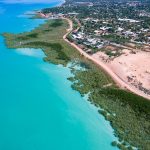 HITTING A COW ON THE WEST COAST ROAD TRIP