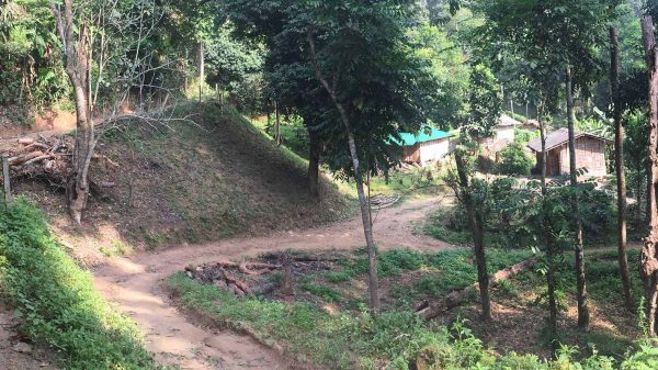 Hiking Chiang Mai in Thailand. Temples hikes and hard mattresses in Chiang Mai