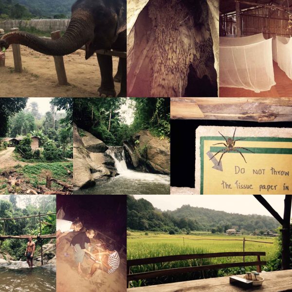 Elephant Sanctuary, Doi Suthep in Chiang Mai, Thailand. Temples hikes and hard mattresses in Chiang Mai