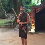 Maori tribesman in NZ. The Tamaki Maori Village stay