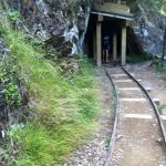 Karangahake gorge in NZ. Starting the Kiwi Experience