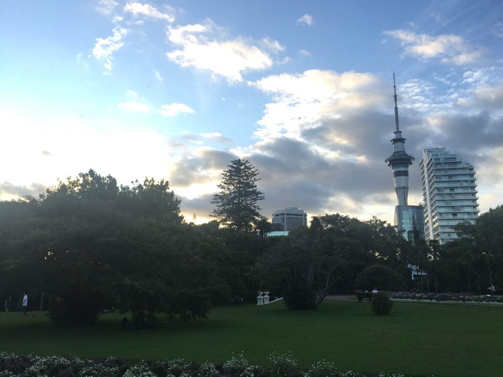 A park in Auckland, New Zealand. Drinking with a Tongan in Auckland