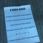 Haka song in NZ. The Tamaki Maori village stay