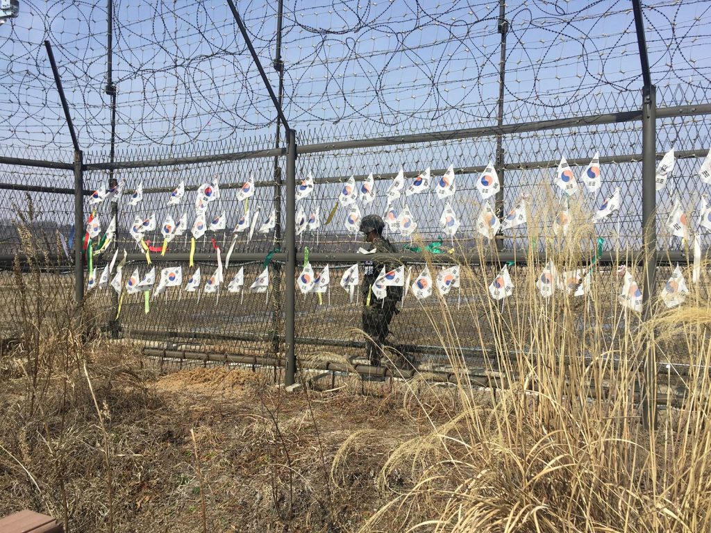 Small propaganda flags in DMZ, South Korea. The DMZ