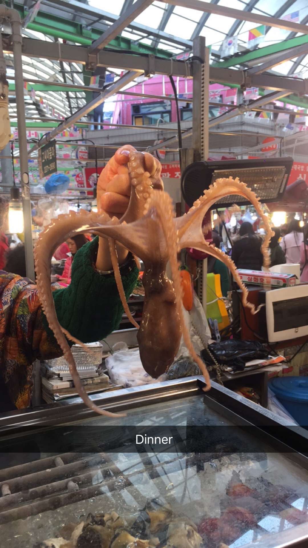Octopus for sale at Seafood Market in Seoul, South Korea. Life and Seoul of Korea