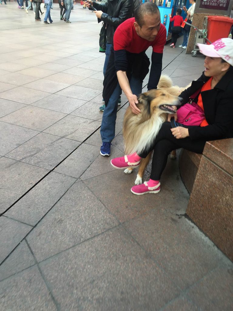 Locals with dog in Shanghai, China. Checking out Shanghai & my first Gaelic match
