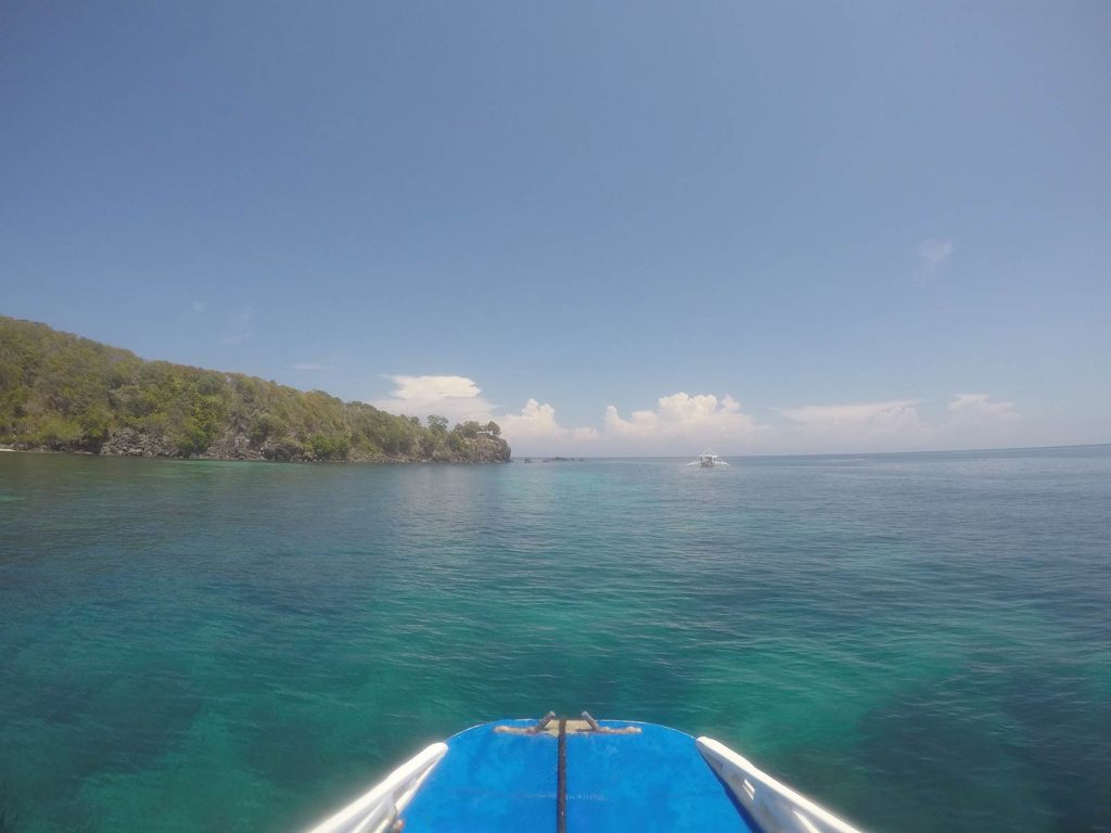 Boat ride in Apo Island, Philippines. Turtles at Apo Island & Dumaguete