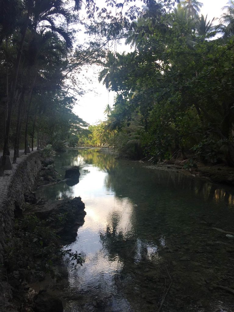 A river surrounded by coconut trees in Moalboal, Philippines. Canyoneering in Moalboal