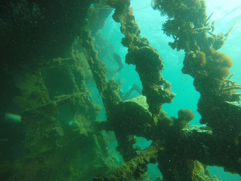 Shipwreck dive in Coron, Philippines. Diving shipwrecks & stunning lagoons in Coron