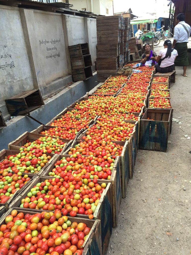 Crates of ripe tomatoes at the market in Inle Lake, Myanmar. Trains, temples & Bagan, The highlights of Myanmar