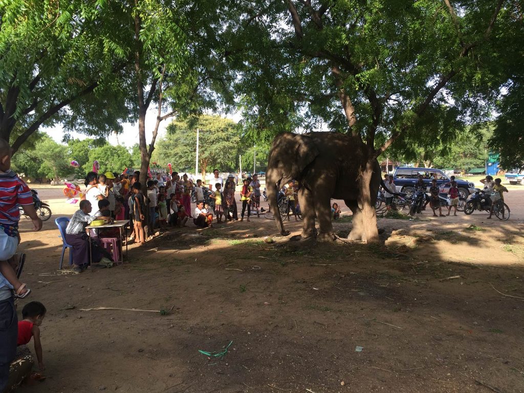 Performing elephant in Nyaungshwe, Myanmar. Trains, temples & Bagan, The highlights of Myanmar