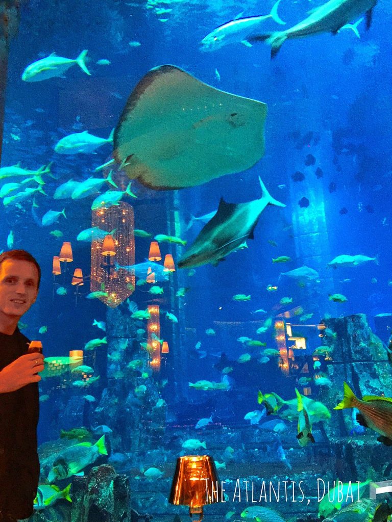David Simpson drinking tea with manta rays at Atlantis Hotel in Dubai, UAE. Safaris in Dubai & waffles in Brussels