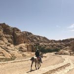 1 JORDAN-TAXI-DRIVERS