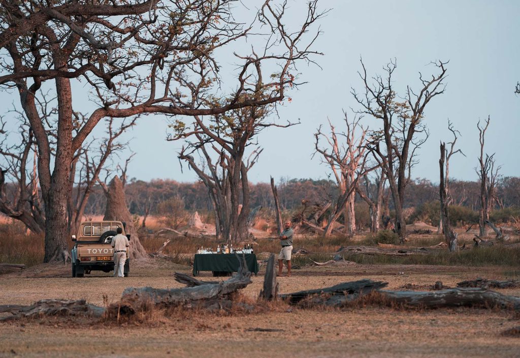 Evening drinks table in Botswana, Africa. A wild dog ambush