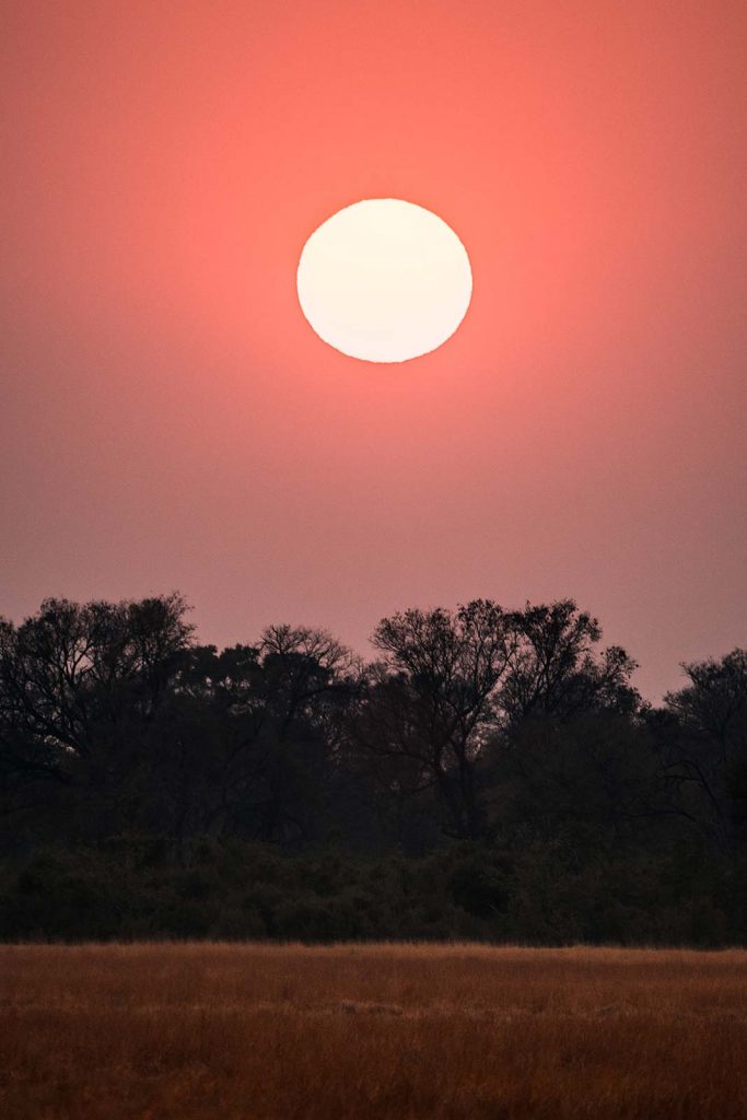Sunset in Botswana, Africa. Cheetah, cubs & the most incredible dinner setting
