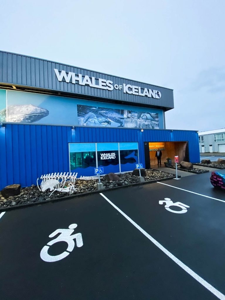 Whales of Iceland exhibit in Reykjavic, Iceland. A day in Reykjavic