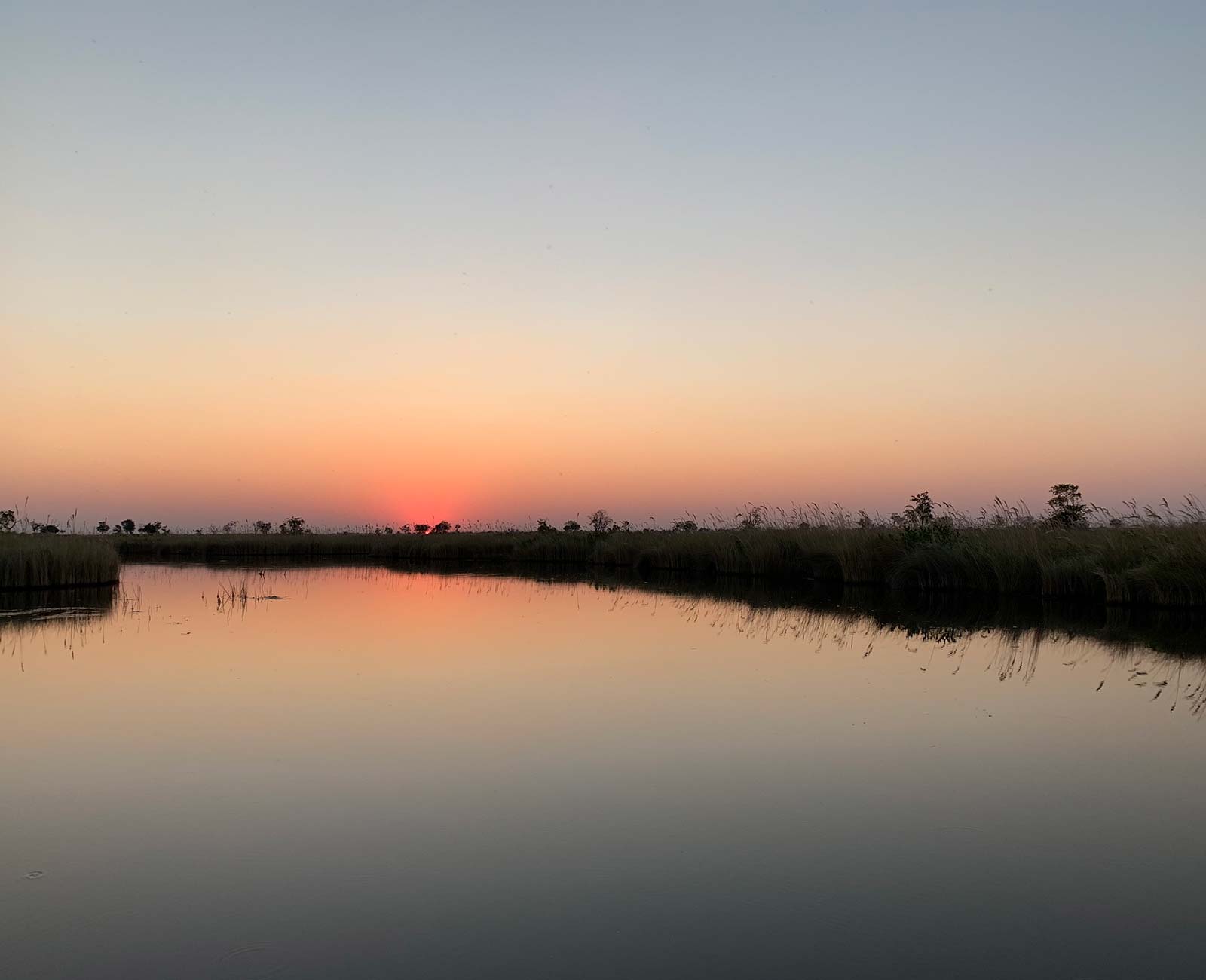 Sunset at game reserve in Botswana, Africa. Sh*ting next to an elephant