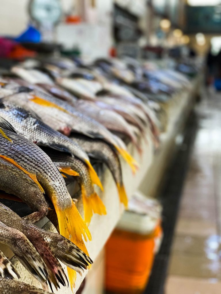 Fish for sale at Fish Market in Kuwait. The most insane waterfight in the world