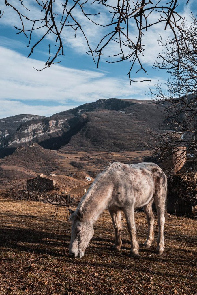 Karabakh Horse in Karabakh. A day in Artsakh/Nagorno-Karabakh