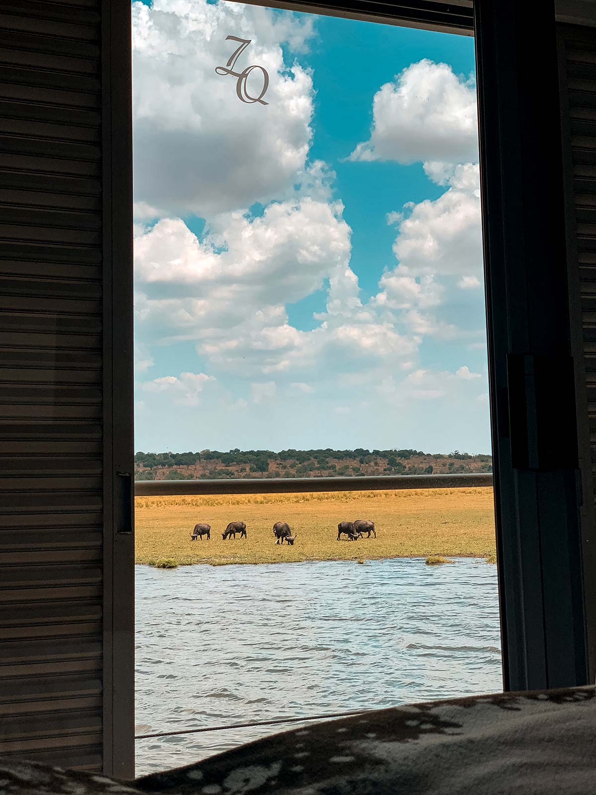 Wild animals outside the window of Zambezi Queen in Botswana, Africa. The hunt for 100 trillion dollars