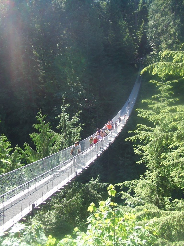 Hanging bridge in Vancouver. Vancouver to Tofino