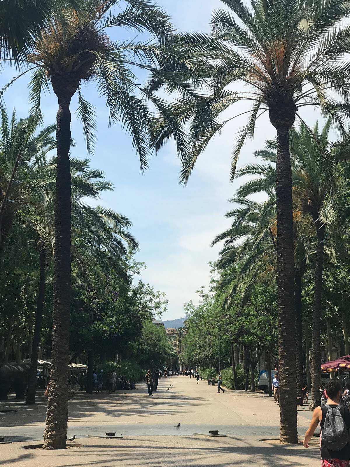 People walking at Las Ramblas in Barcelona. 10 things you must do in Barcelona