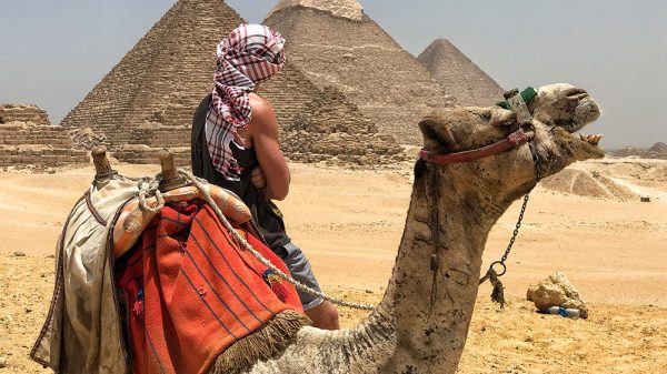 David Simpson standing by camel viewing the pyramids. How to visit every country in the World