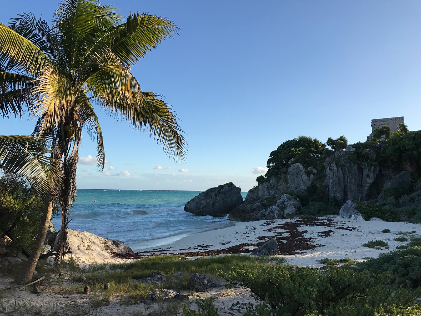 Beach with rock formations and a coconut tree in Tulum, Mexico. Chichén Itzá and the Yucatán coast
