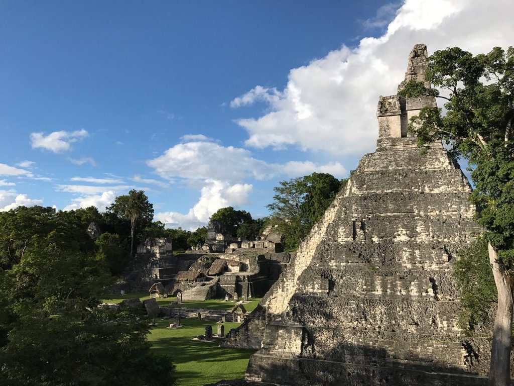 A Mayan pyramid and trees in Tikal, Guatemala. A dislocated shoulder & Tikal Ruins