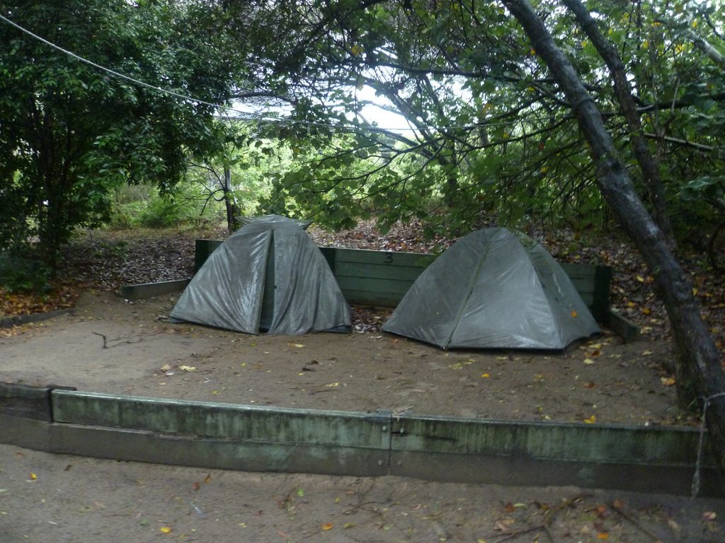Two tents in Fraser Island. Dingos on Fraser Island
