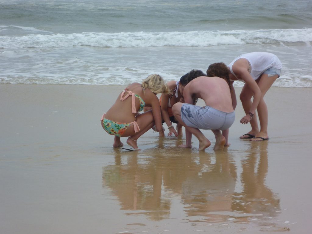 David Simpson with three girls in Fraser Island. Dingos on Fraser Island