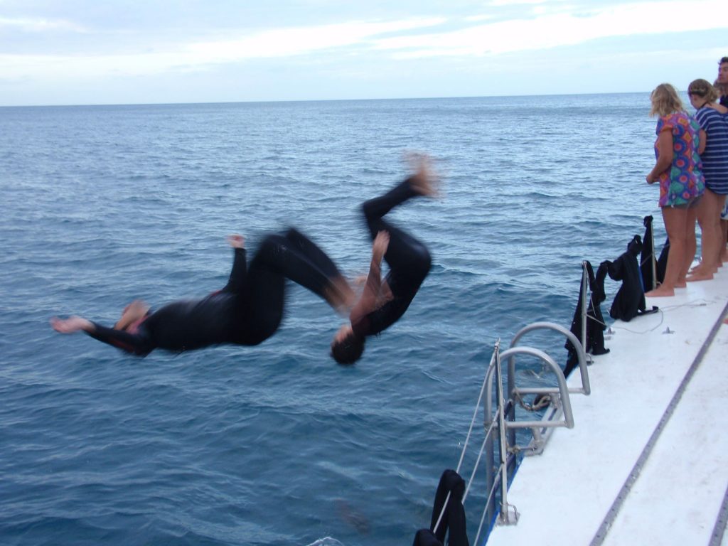 David Simpson and a guy jumping in the water during the Whitsundays cruise. Sleeping under the stars at the Whitsundays