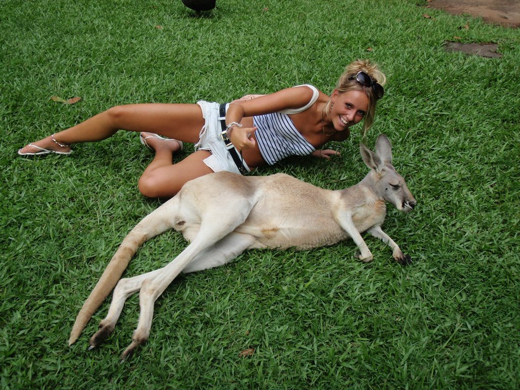 A girl and a kangaroo at the zoo in Brissie. The Zoo, Brissie & Byron Bay