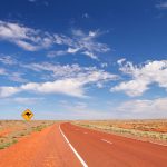 RESCUED IN THE MIDDLE OF THE DESERT