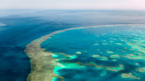Diving the Great Barrier Reef