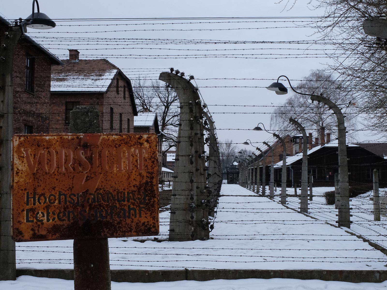 Barbed wire fence in Auschwitz, Oświęcim, Poland. Mixed feelings in Auschwitz