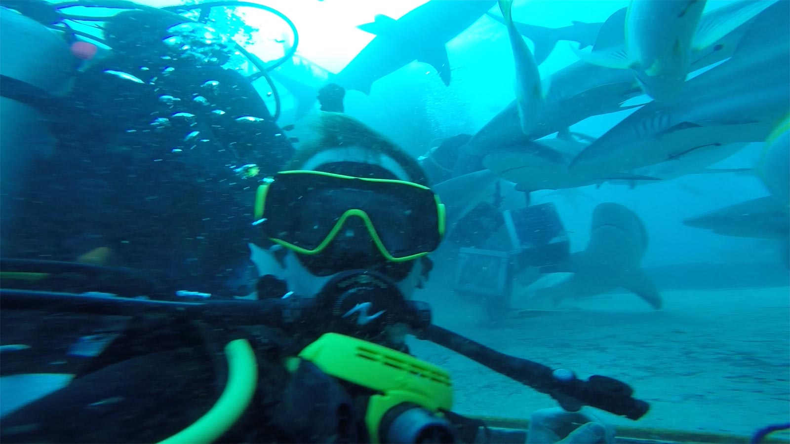 David Simpson diving with sharks in the Bahamas. Diving with sharks in the Bahamas
