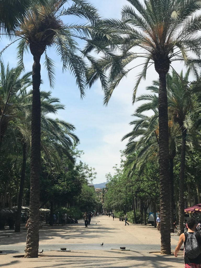 Walk in the park in Barcelona, Spain. Andorra, Barcelona & Malta
