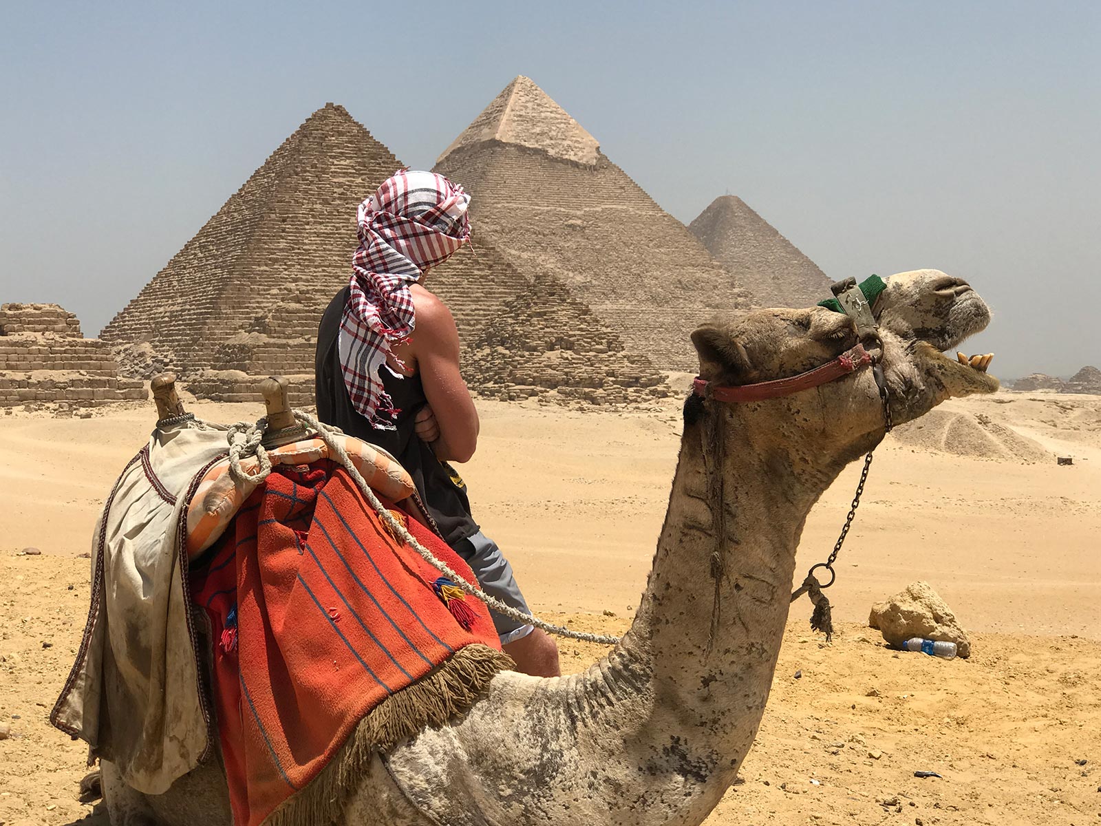 David Simpson with camel at the pyramids in Cairo, Egypt. Getting inside the Ancient Pyramids of Giza