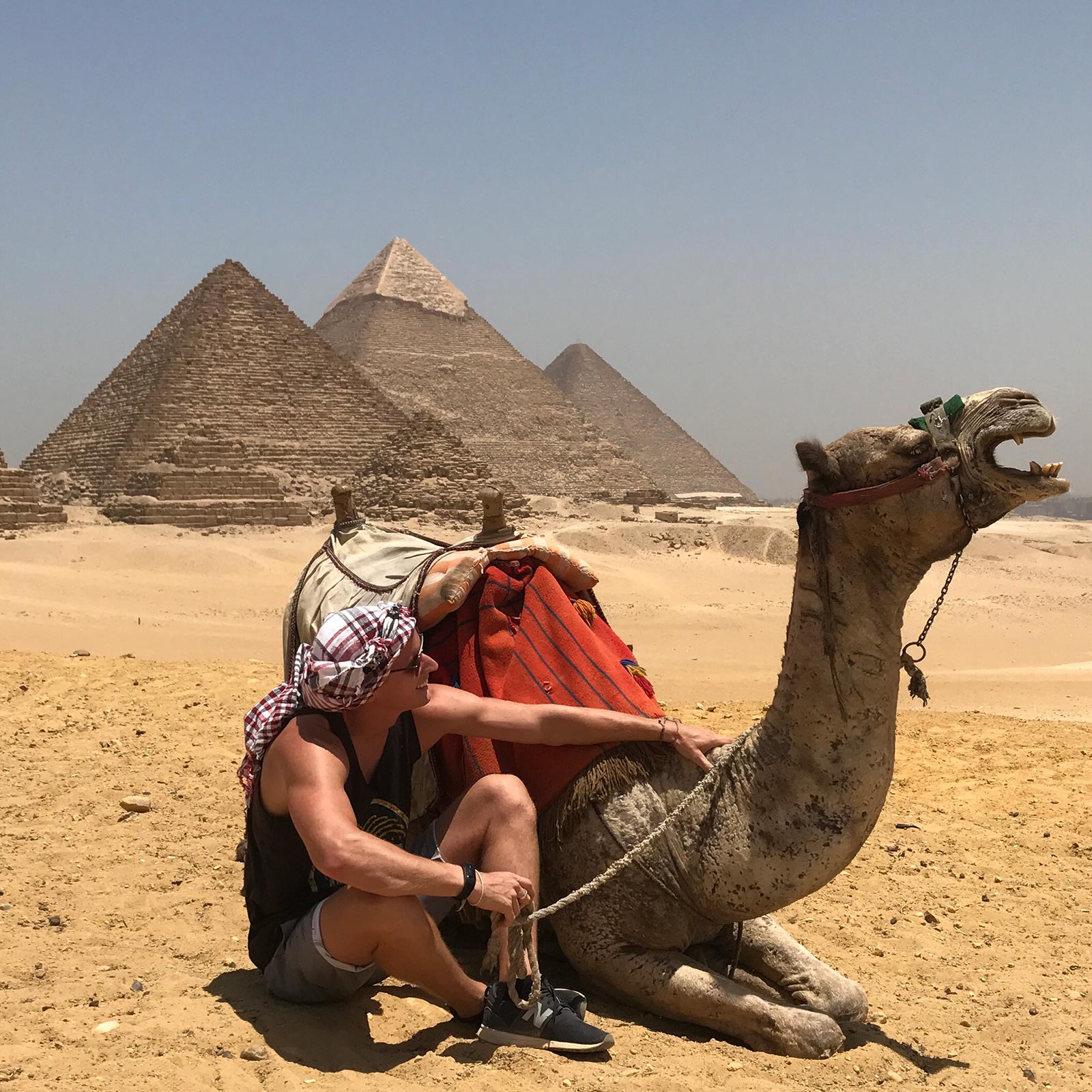David Simpson and camel resting on the ground at the pyramids in Cairo, Egypt. Getting inside the Ancient Pyramids of Giza