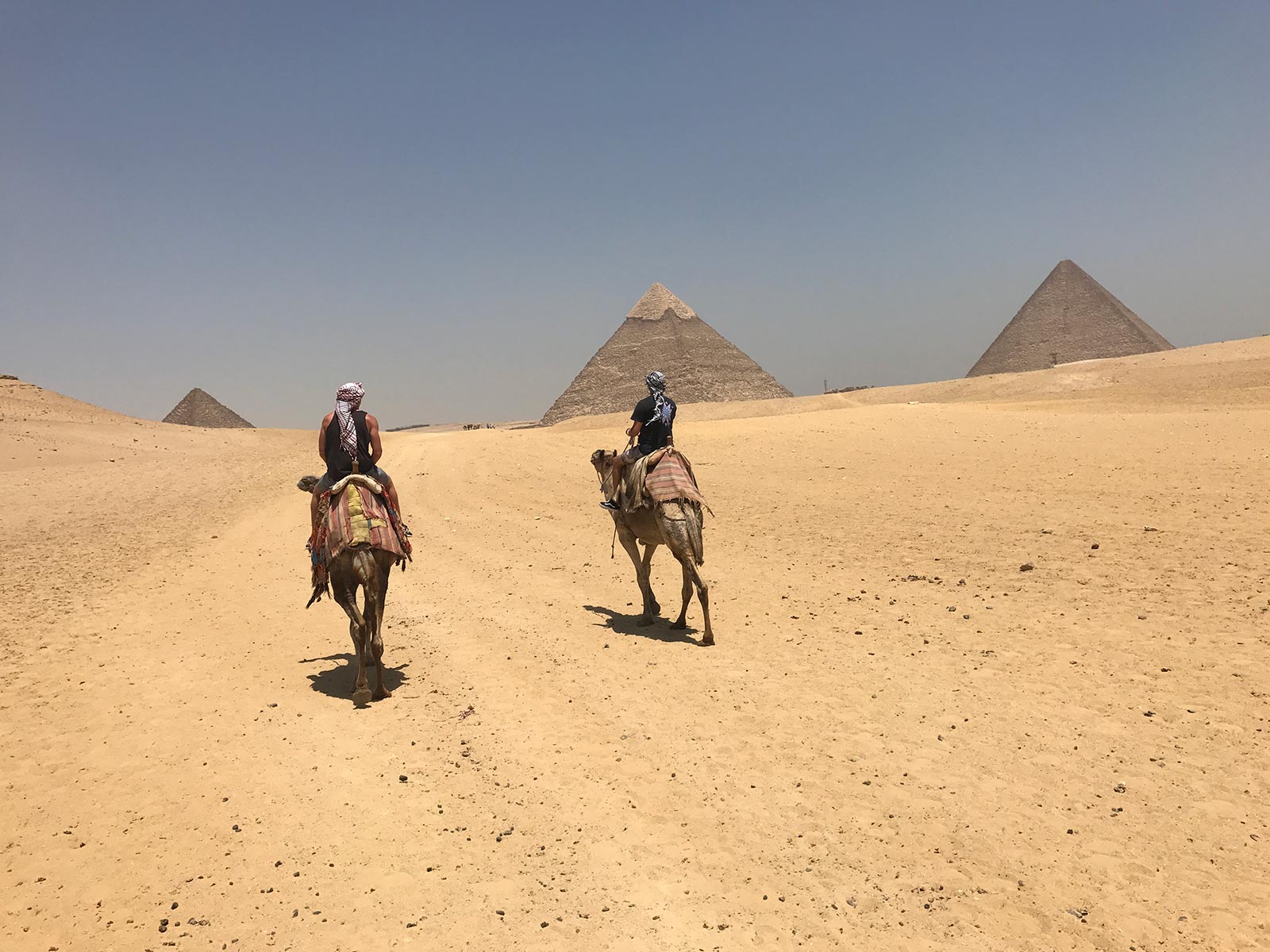 David Simpson and friend riding camel to the pyramids in Cairo, Egypt. Getting inside the Ancient Pyramids of Giza
