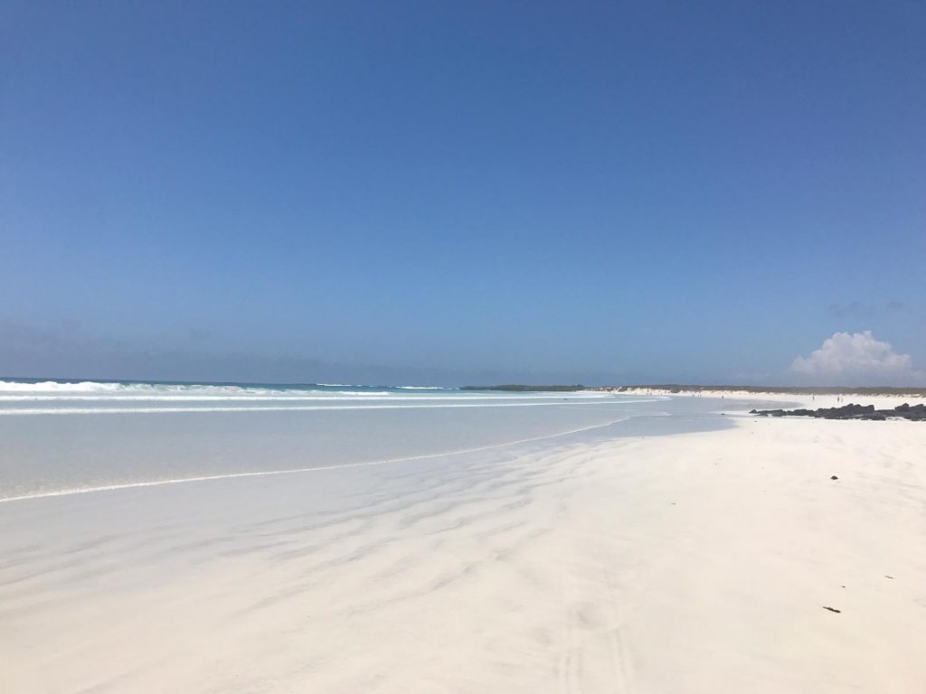White sand beach in Galapagos, Ecuador. Swimming with sharks in the Galapagos