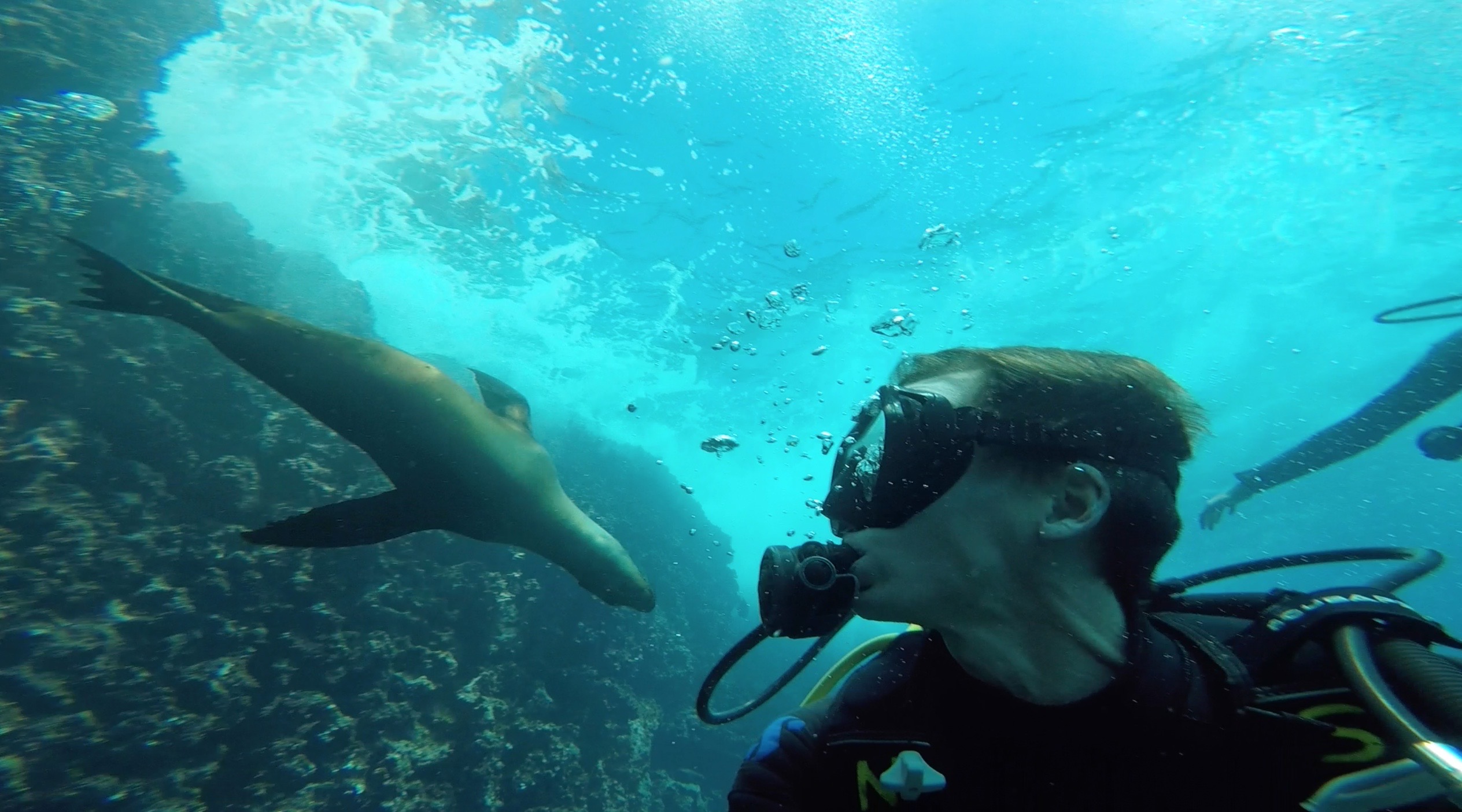 David Simpson diving with seals in Galapagos, Ecuador. Swimming with sharks in the Galapagos