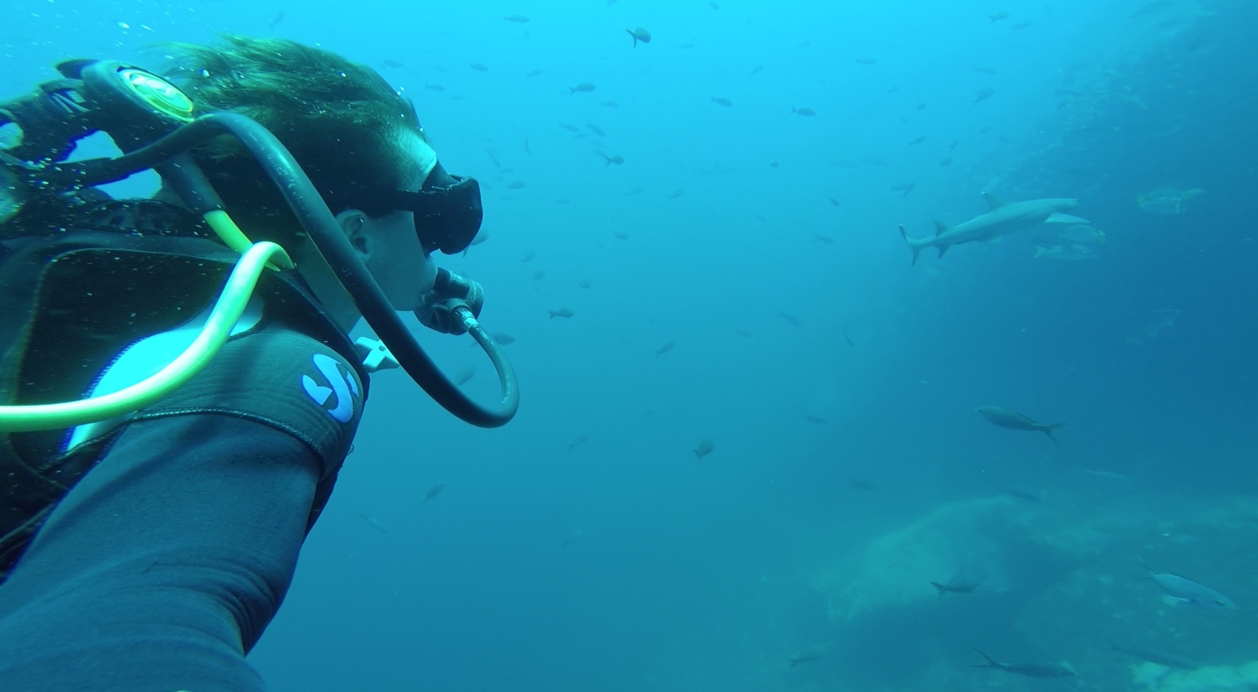David Simpson diving with sharks in Galapagos, Ecuador. Swimming with sharks in the Galapagos