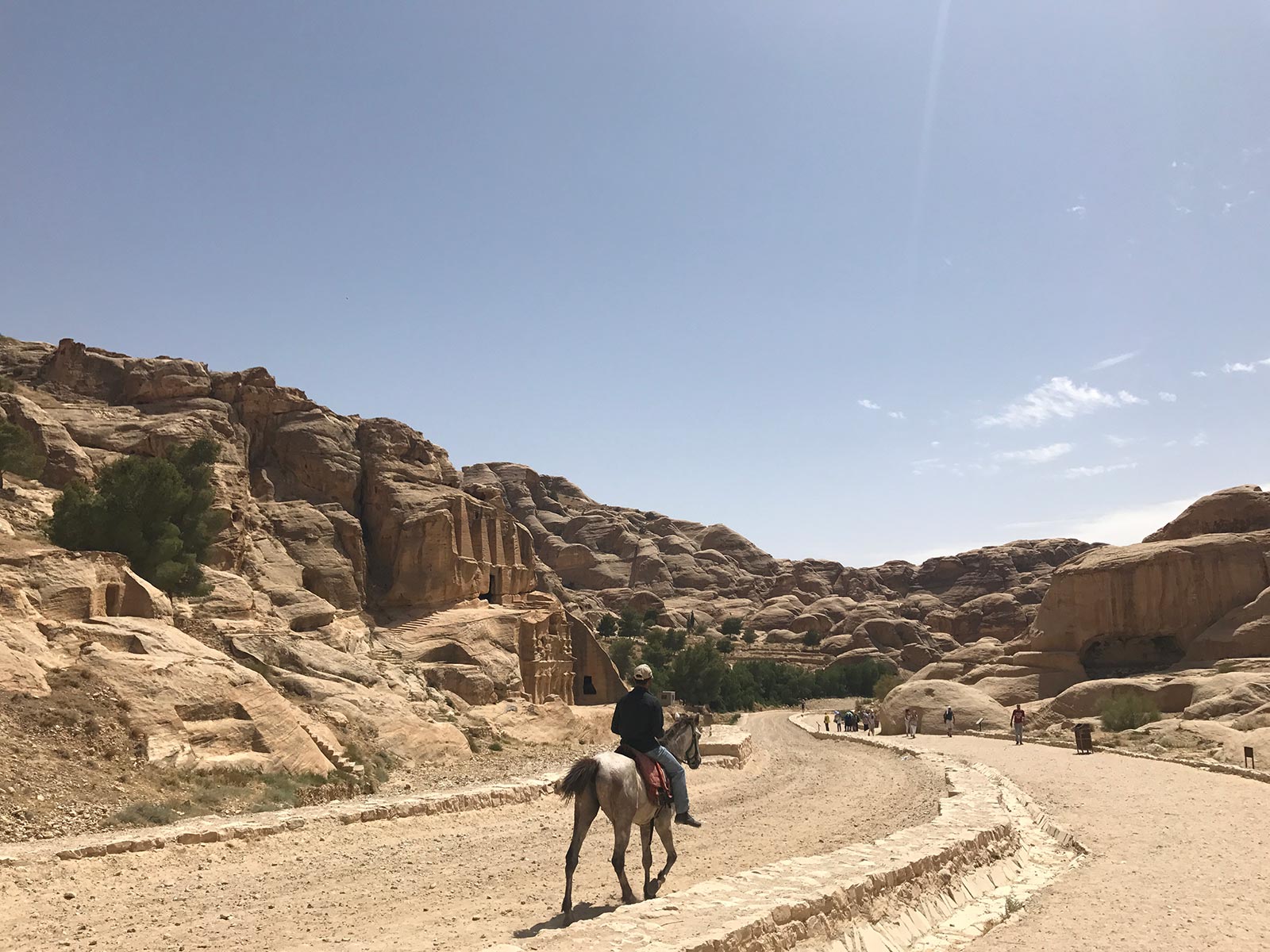 Man on horseback in Petra, Jordan. Taking no sh*t from taxi drivers in Jordan