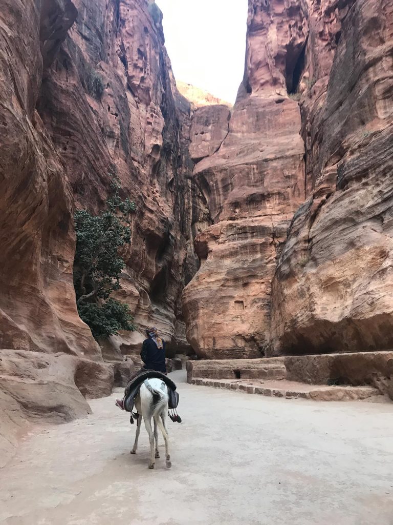 Horse passing incredible rock formations in Petra, Jordan. Petra, an incredible wonder