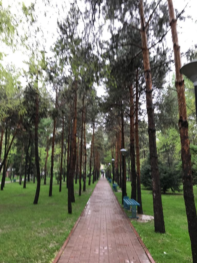 Forest park in Kazakhstan. Bangladesh, The Persian Gulf, The Caucasus & The Stans
